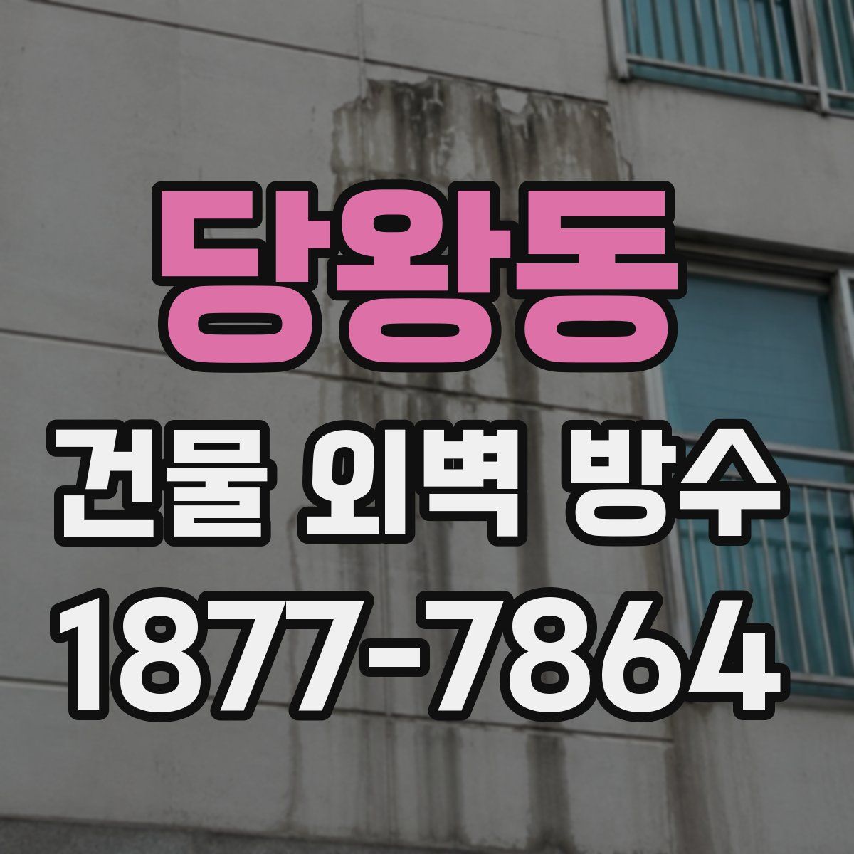 당왕동 건물 외벽 방수