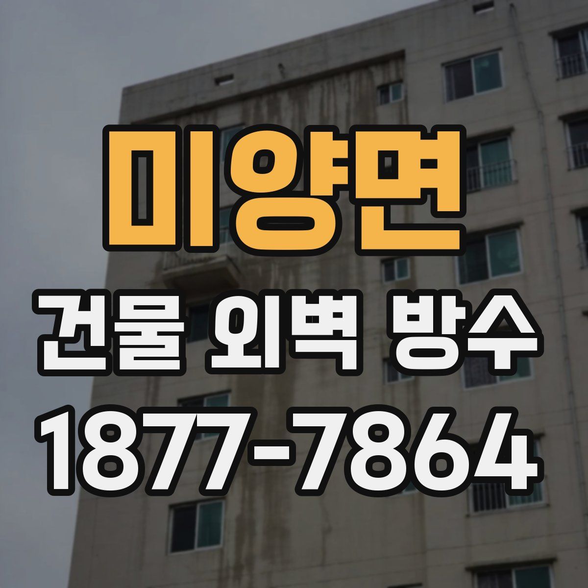 미양면 건물 외벽 방수
