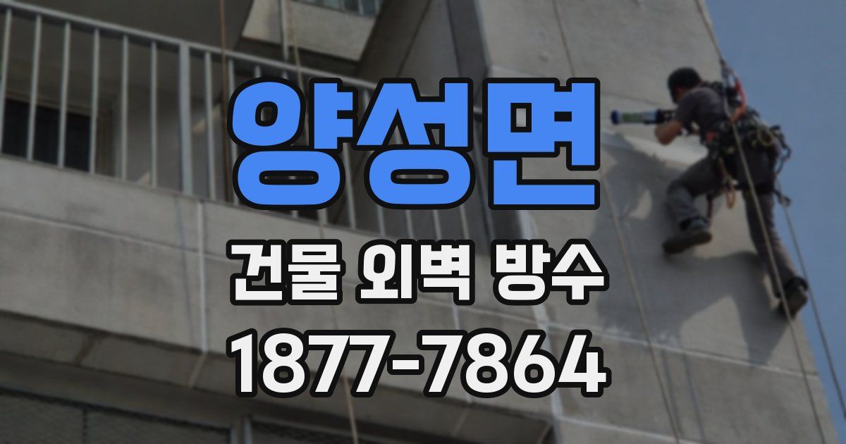 양성면 건물 외벽 방수