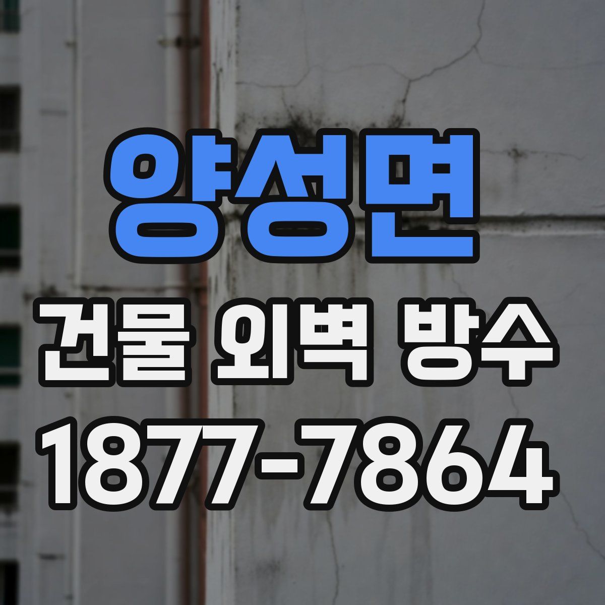 양성면 건물 외벽 방수