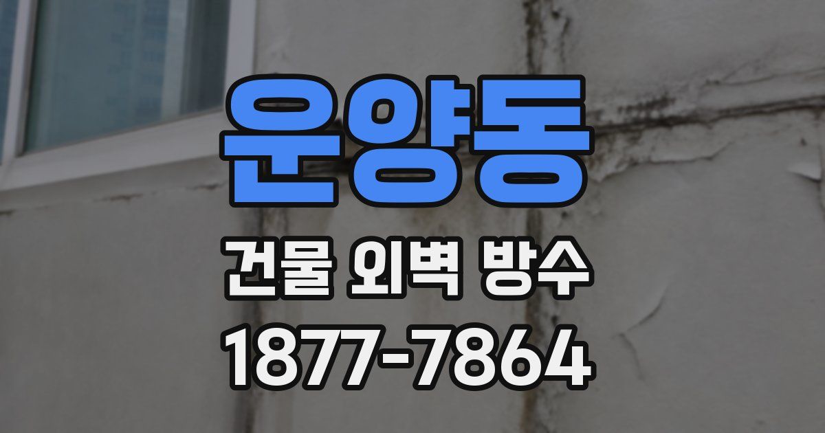 운양동 건물 외벽 방수