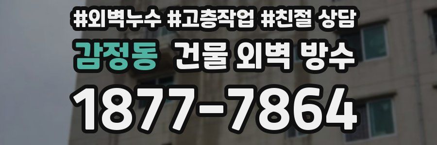 감정동 건물 외벽 방수