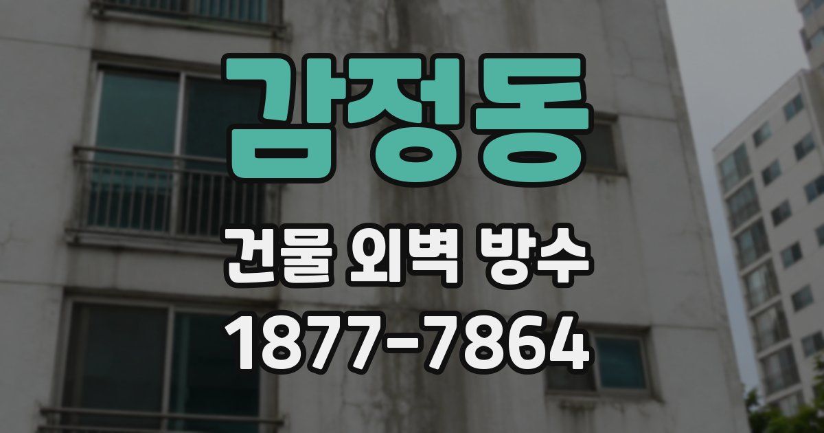 감정동 건물 외벽 방수
