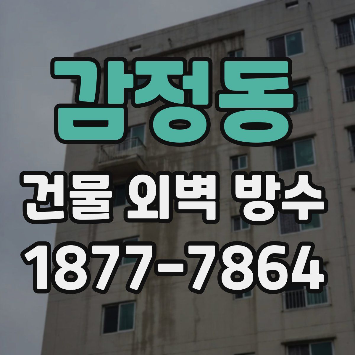 감정동 건물 외벽 방수