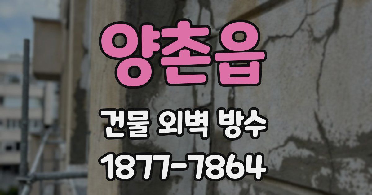 양촌읍 건물 외벽 방수