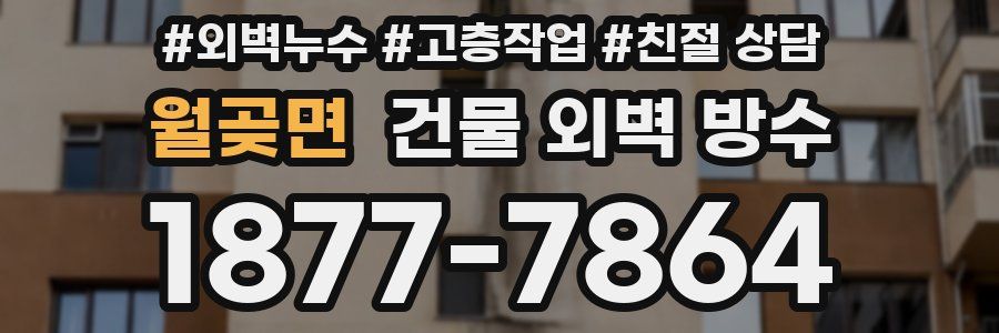 월곶면 건물 외벽 방수