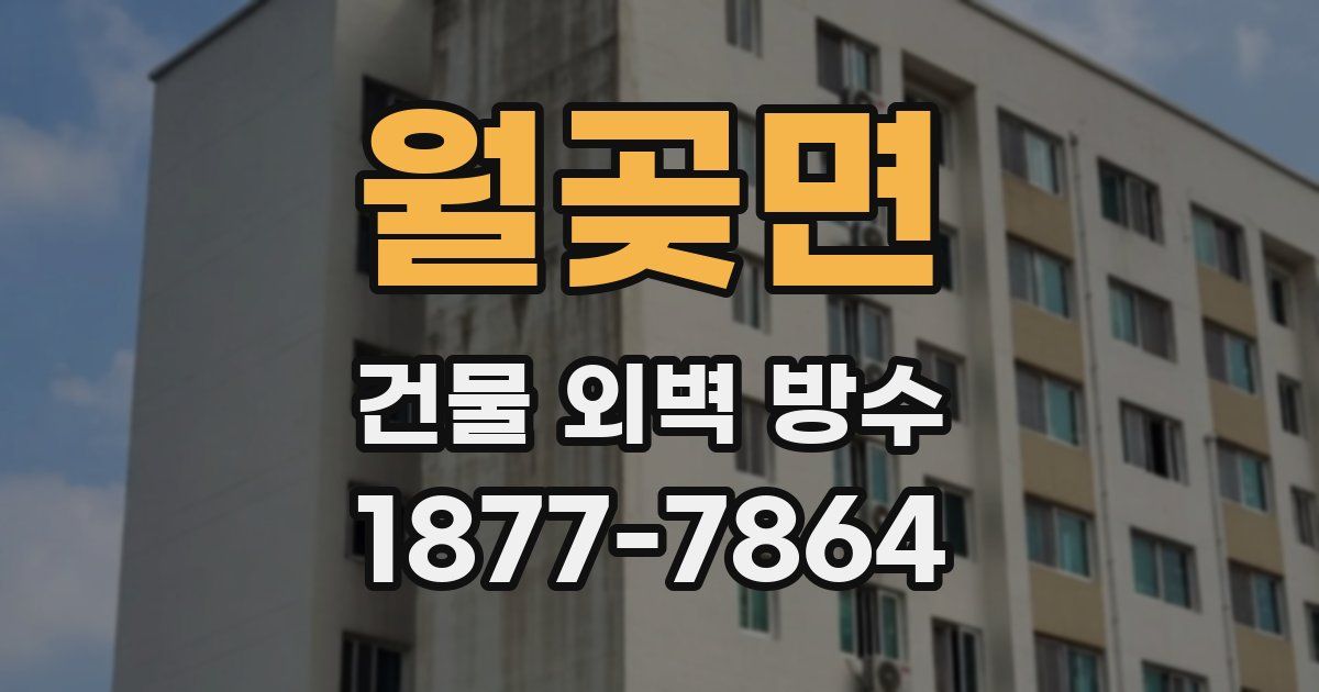 월곶면 건물 외벽 방수