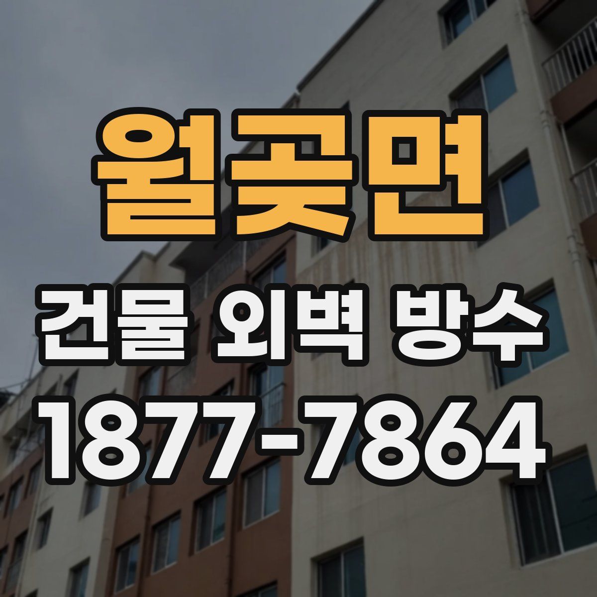 월곶면 건물 외벽 방수