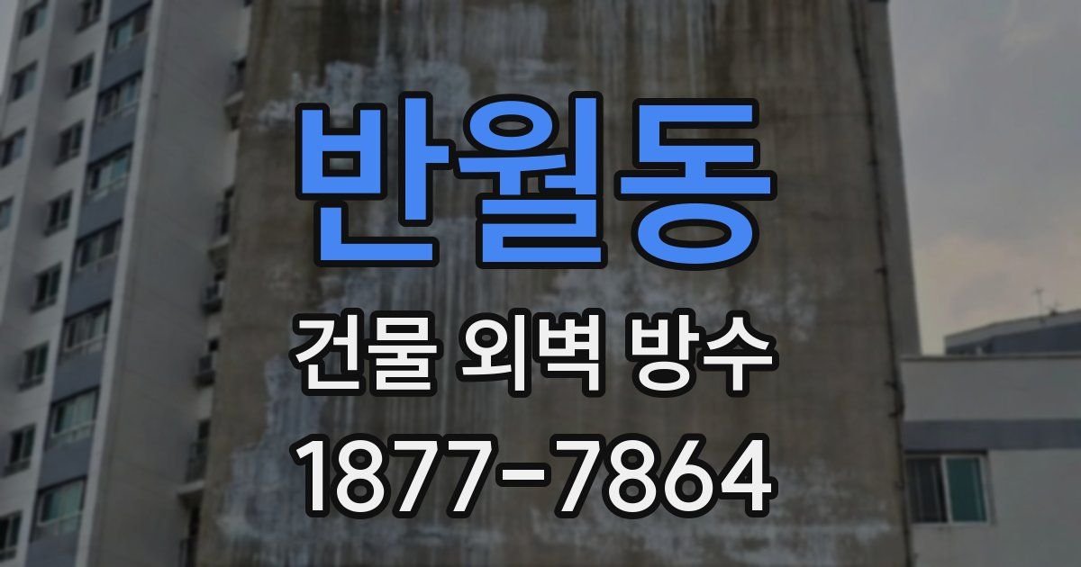 반월동 건물 외벽 방수