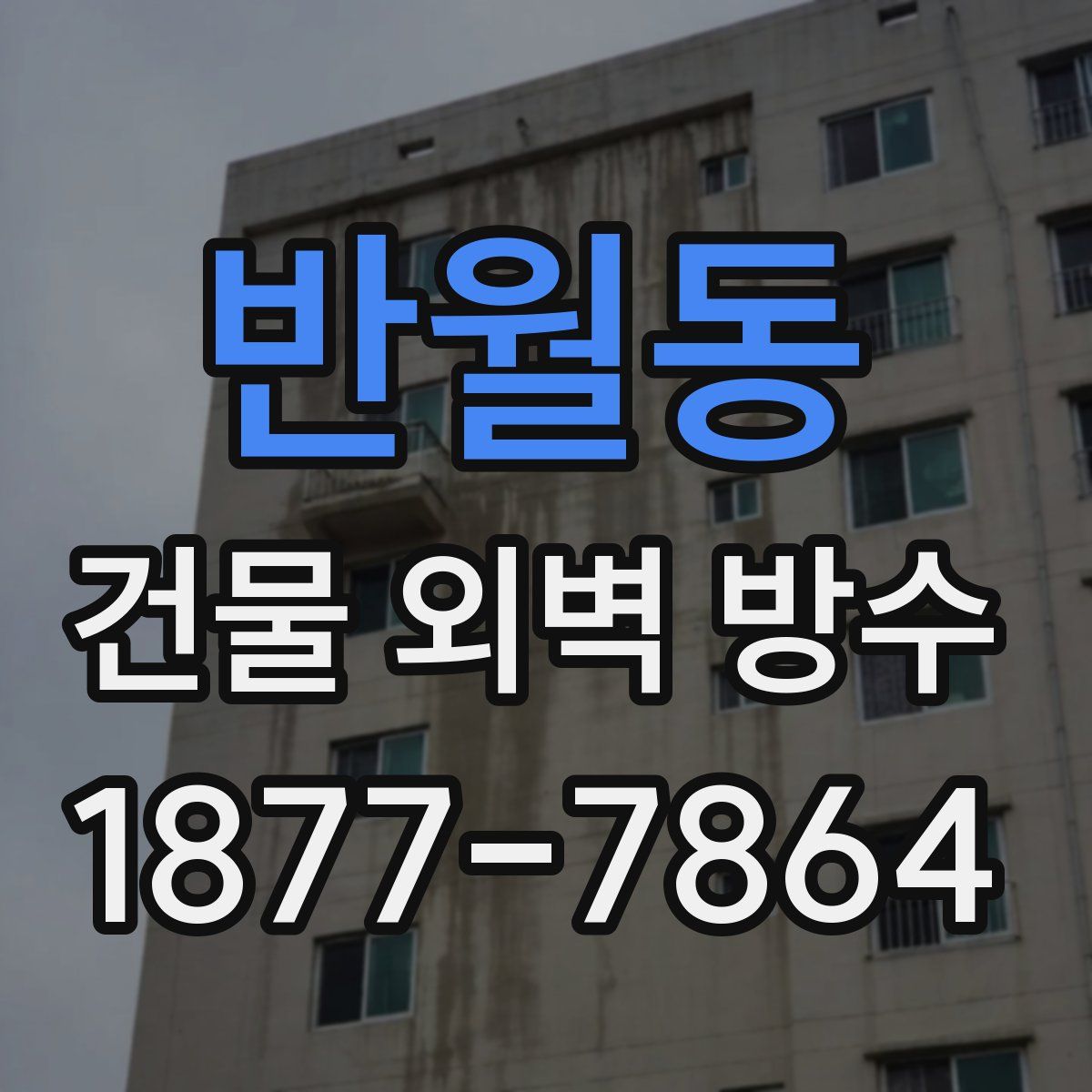 반월동 건물 외벽 방수