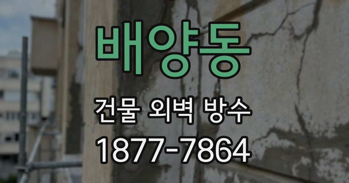 배양동 건물 외벽 방수