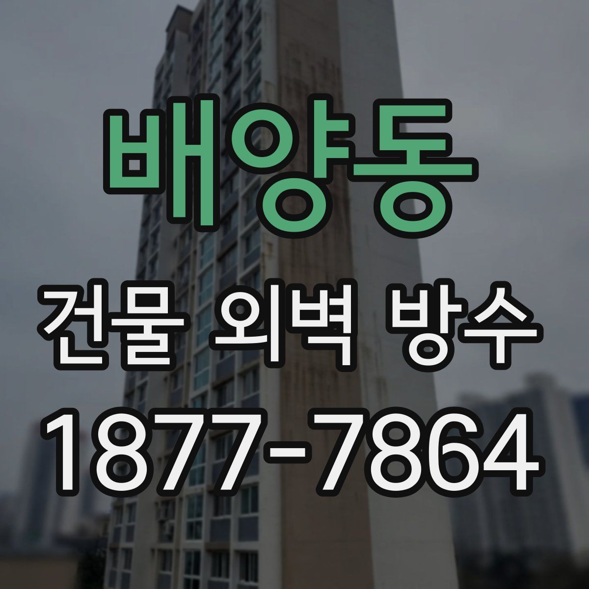 배양동 건물 외벽 방수