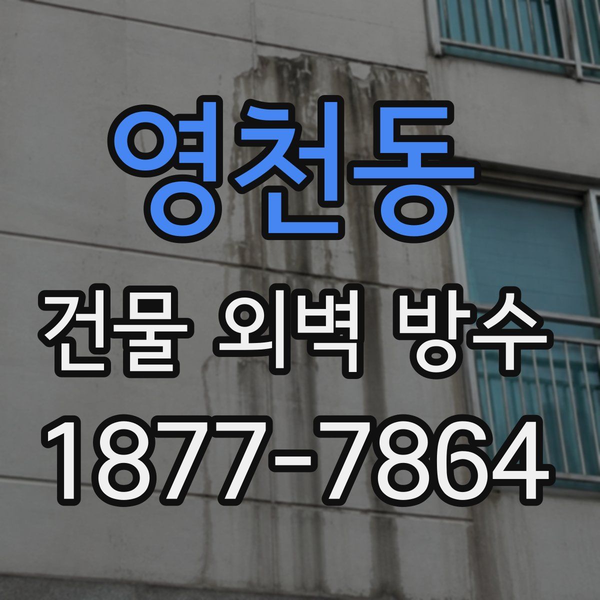 영천동 건물 외벽 방수