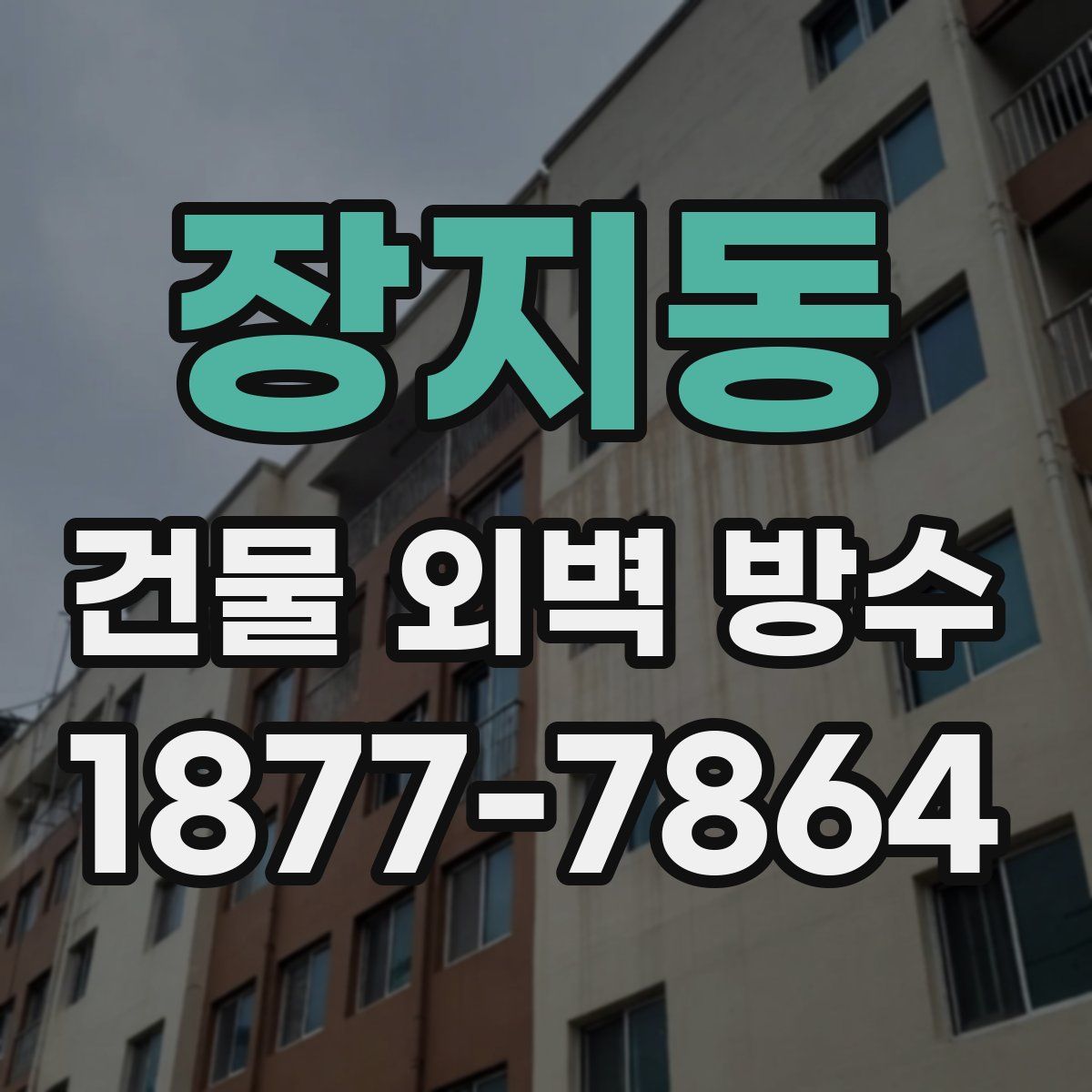 장지동 건물 외벽 방수