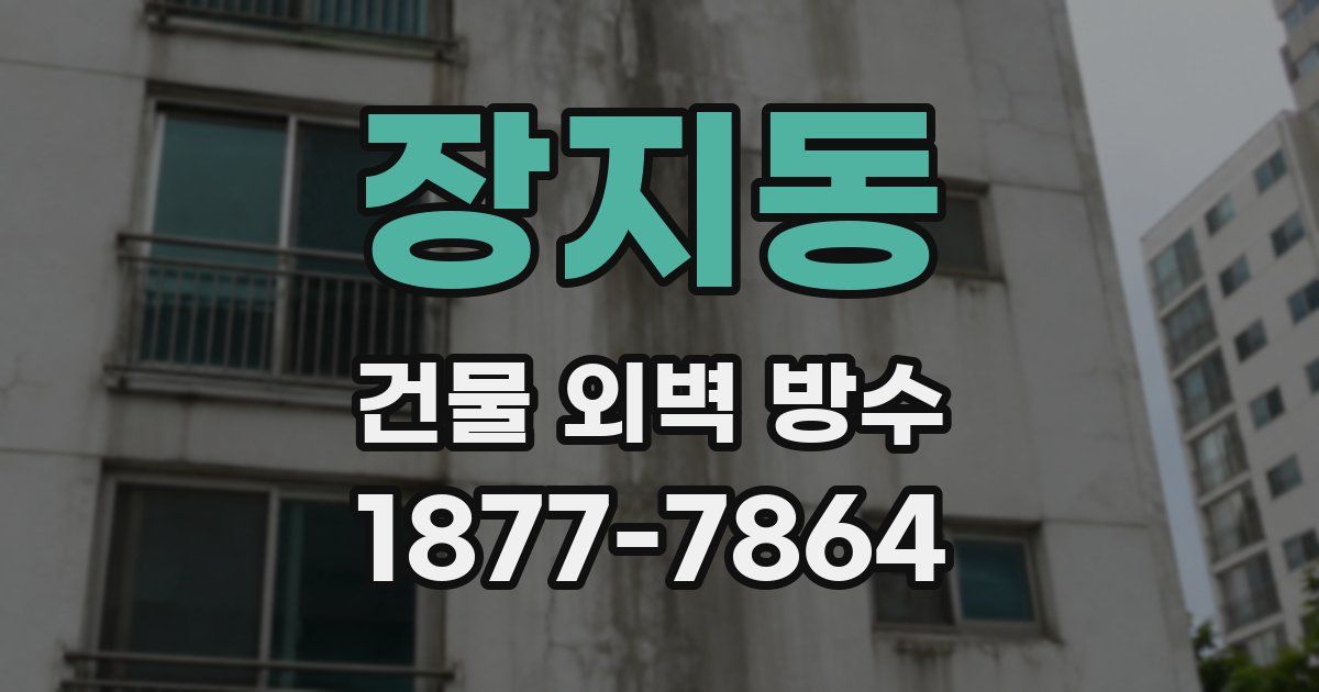 장지동 건물 외벽 방수