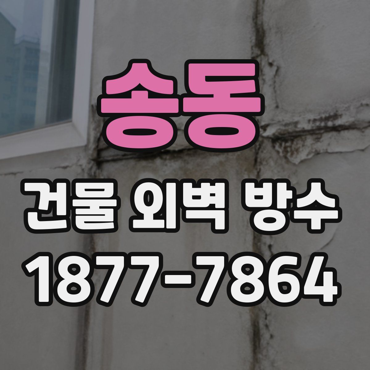 송동 건물 외벽 방수