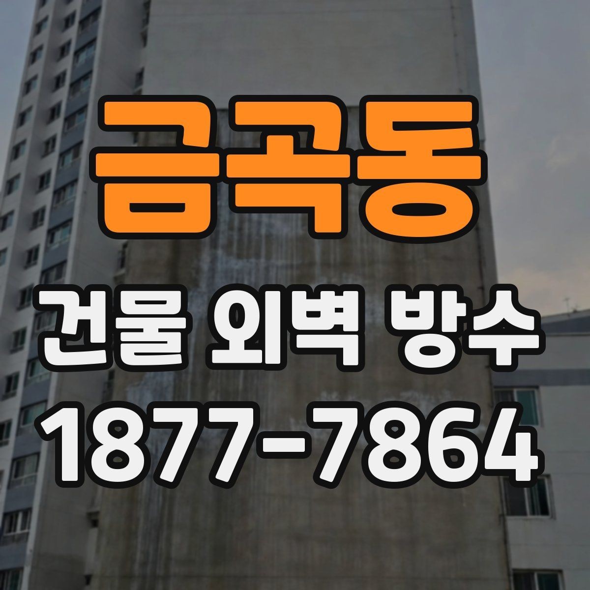 금곡동 건물 외벽 방수 시공 전에 알아야 할 기본 절차