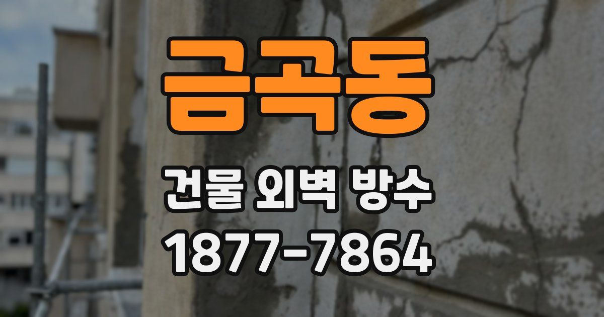 금곡동 건물 외벽 방수