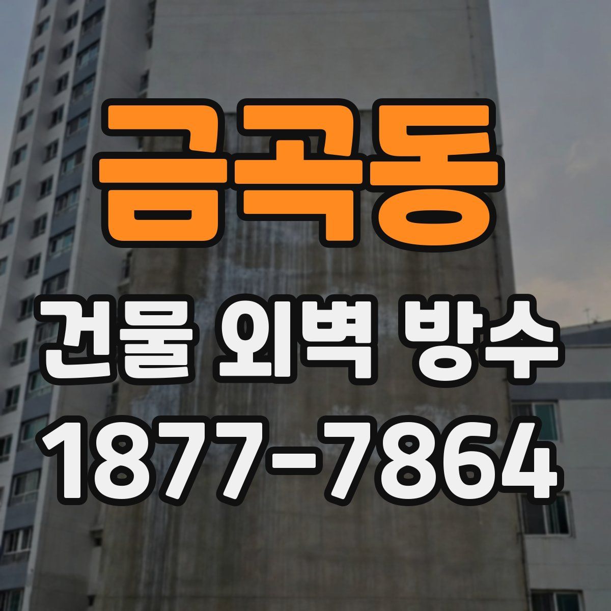 금곡동 건물 외벽 방수