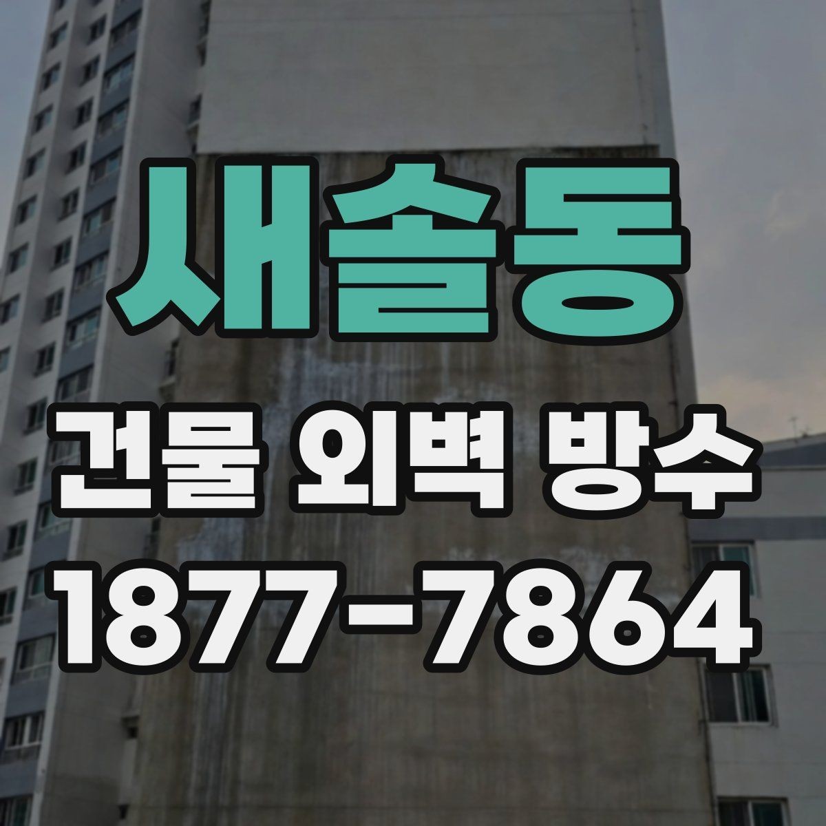 새솔동 건물 외벽 방수 빗물 누수 진단 절차