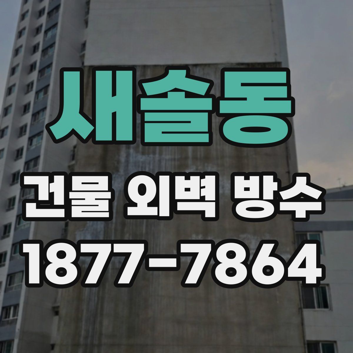 새솔동 건물 외벽 방수