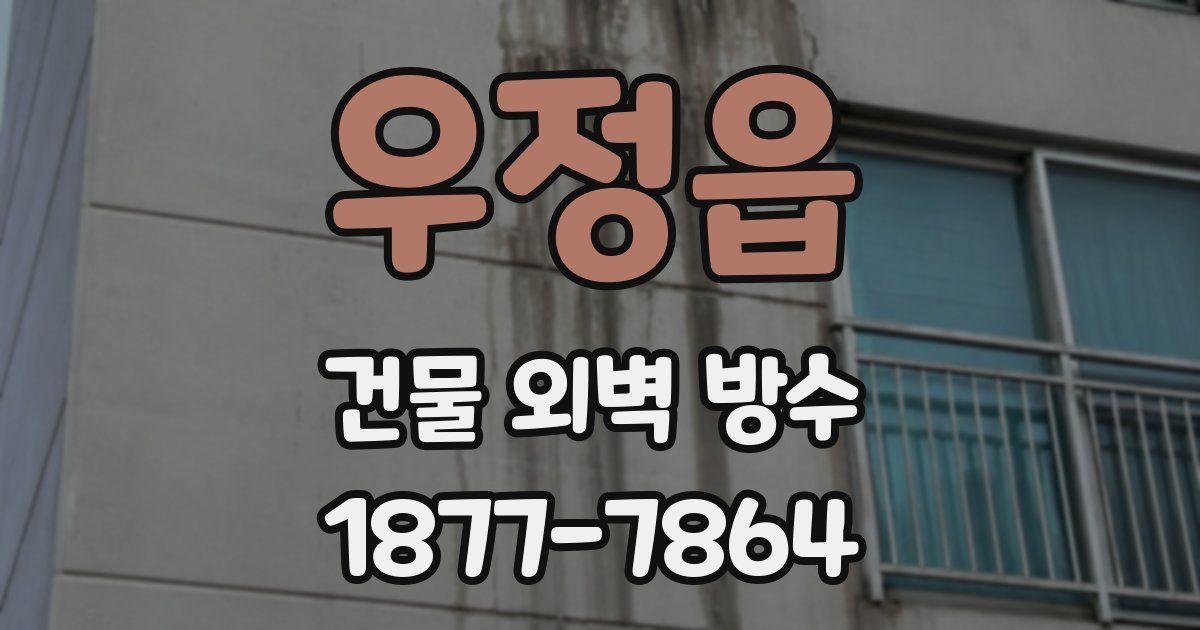 우정읍 건물 외벽 방수