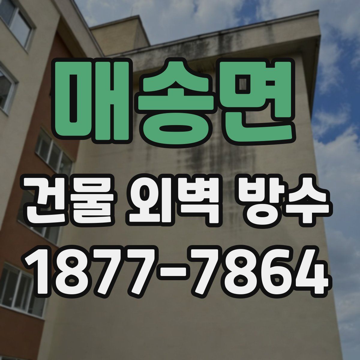 매송면 건물 외벽 방수