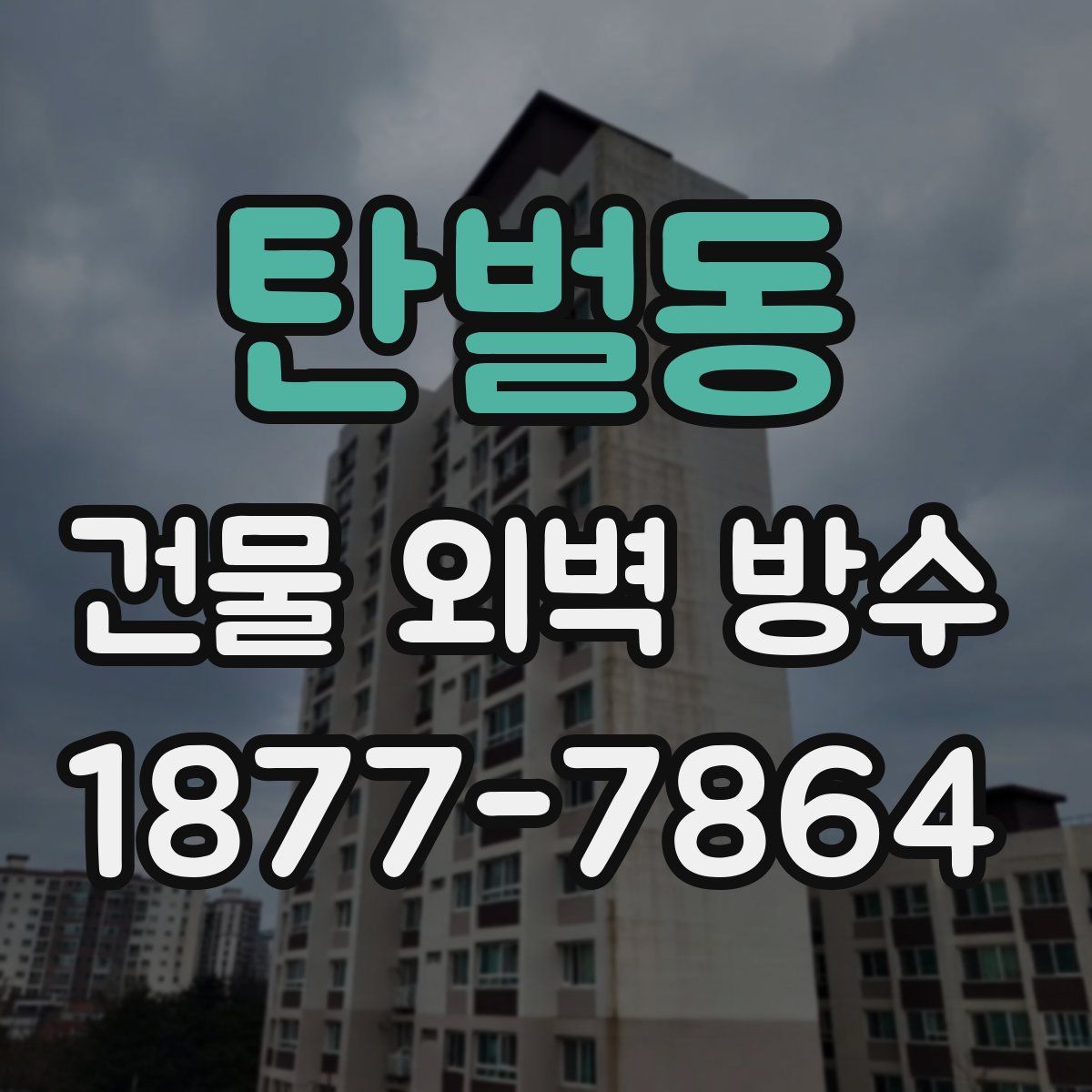 탄벌동 건물 외벽 방수