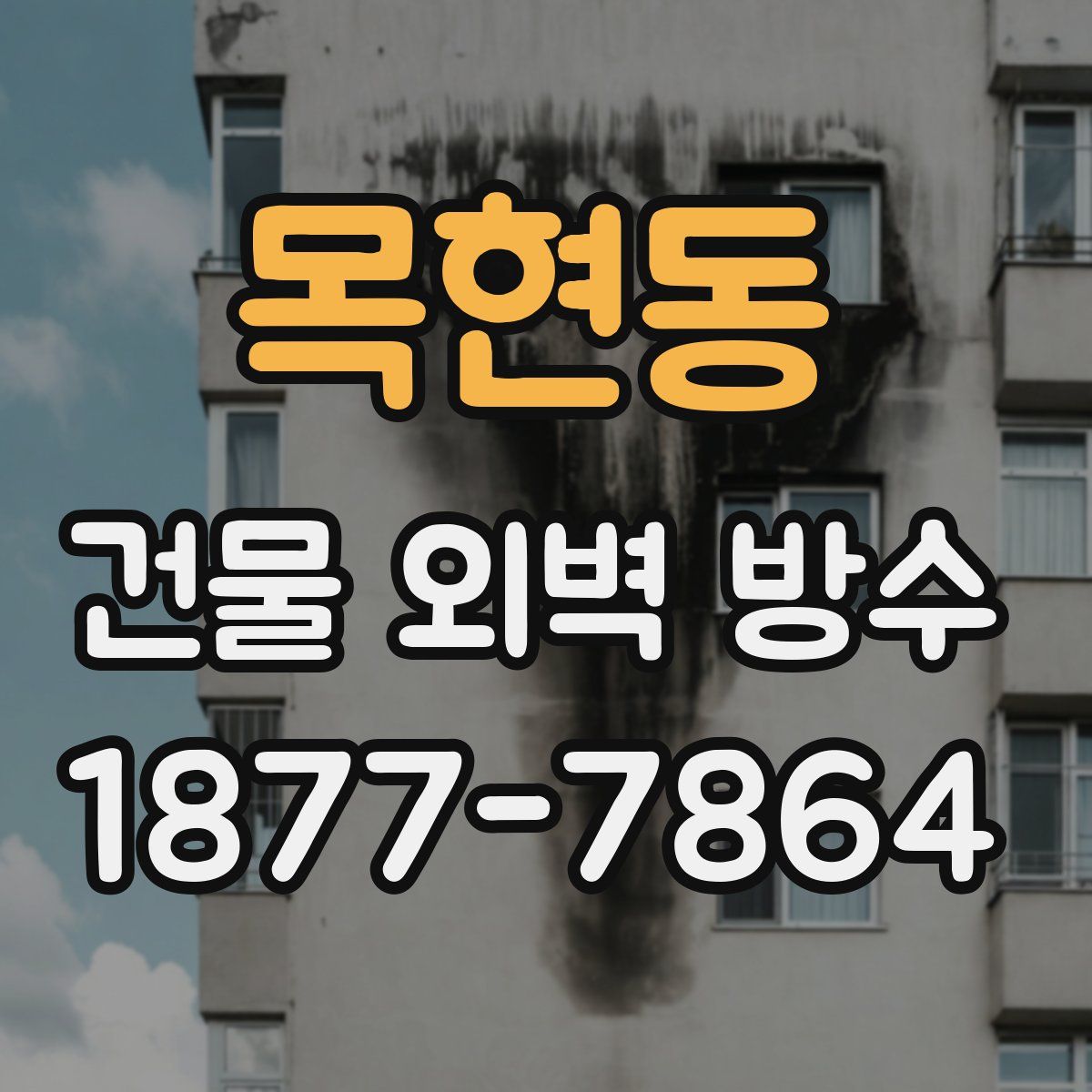 목현동 건물 외벽 방수