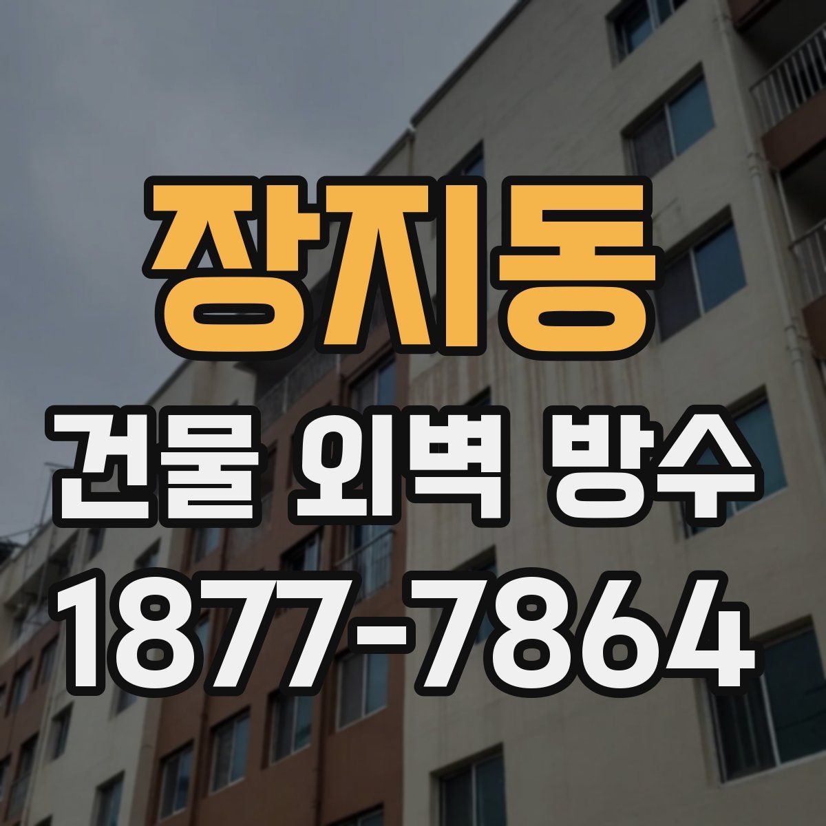 장지동 건물 외벽 방수