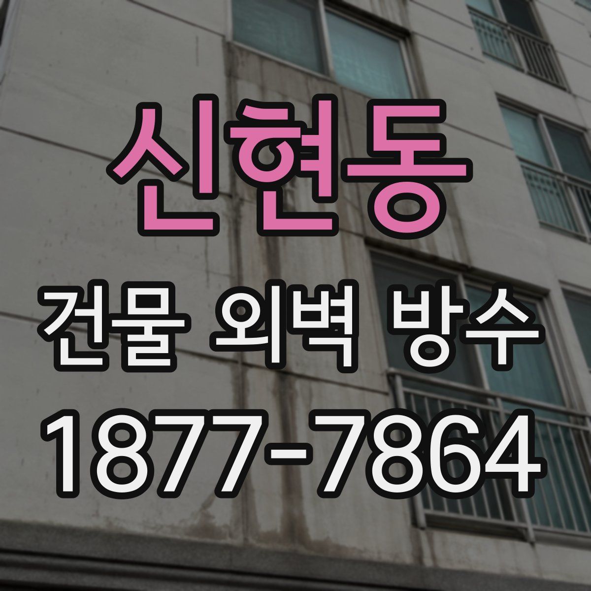 신현동 건물 외벽 방수