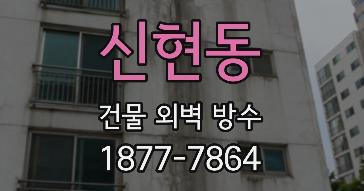 신현동 건물 외벽 방수