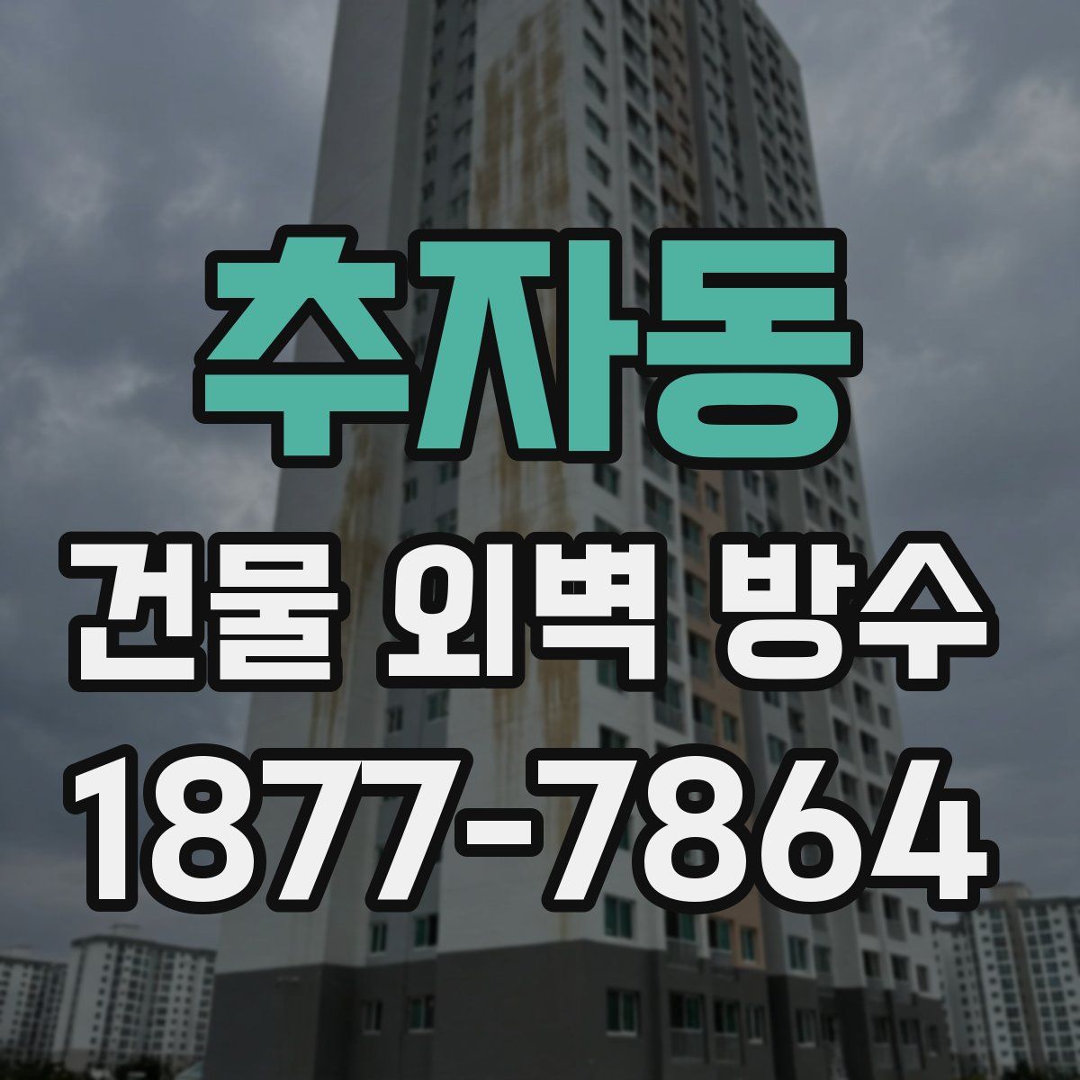 추자동 건물 외벽 방수