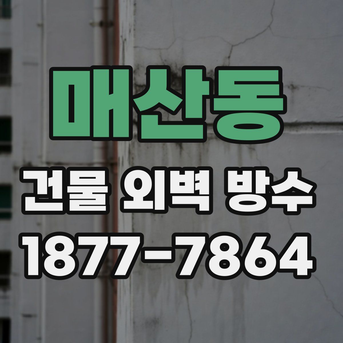 매산동 건물 외벽 방수
