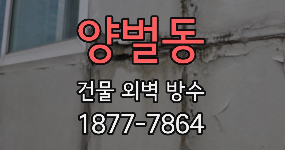 양벌동 건물 외벽 방수