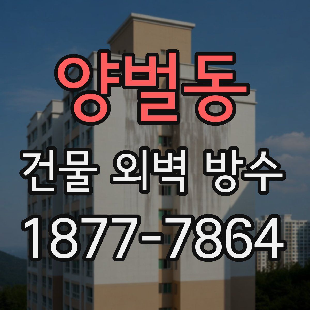 양벌동 건물 외벽 방수