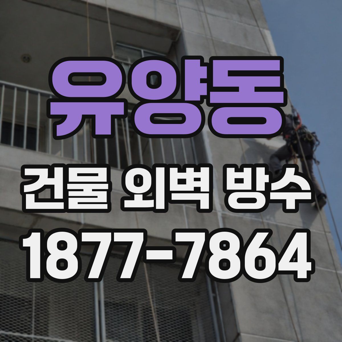 유양동 건물 외벽 방수