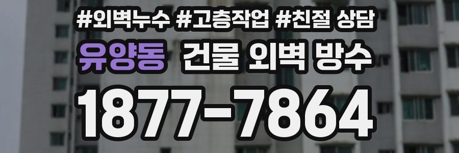 유양동 건물 외벽 방수