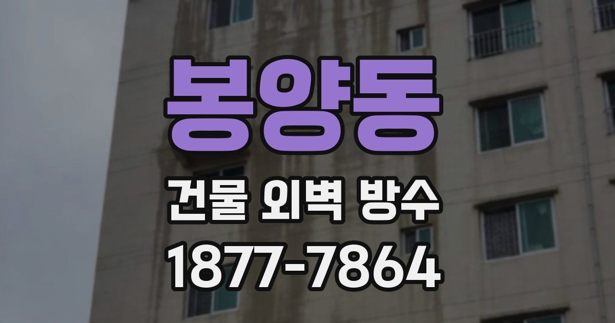 봉양동 건물 외벽 방수