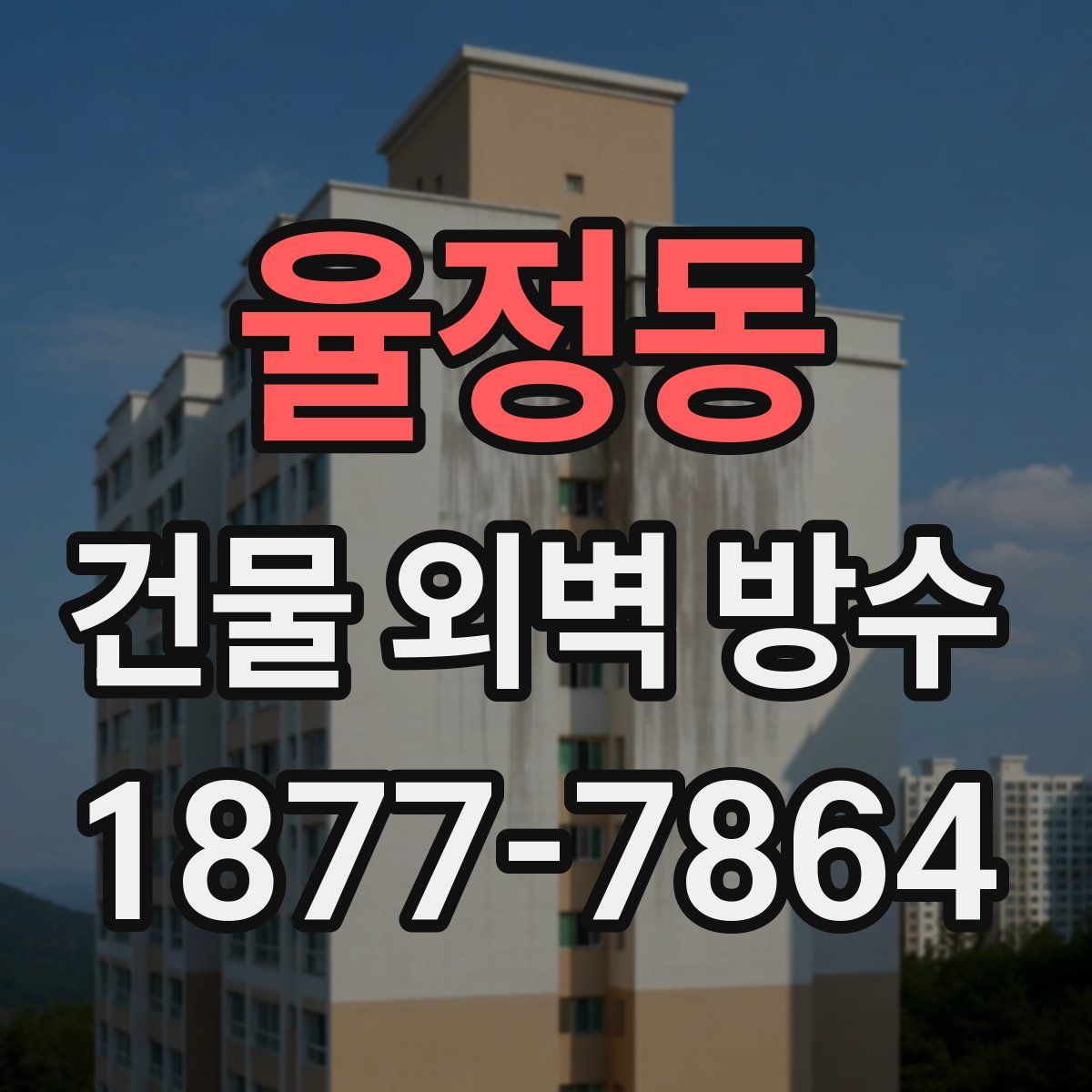 율정동 건물 외벽 방수