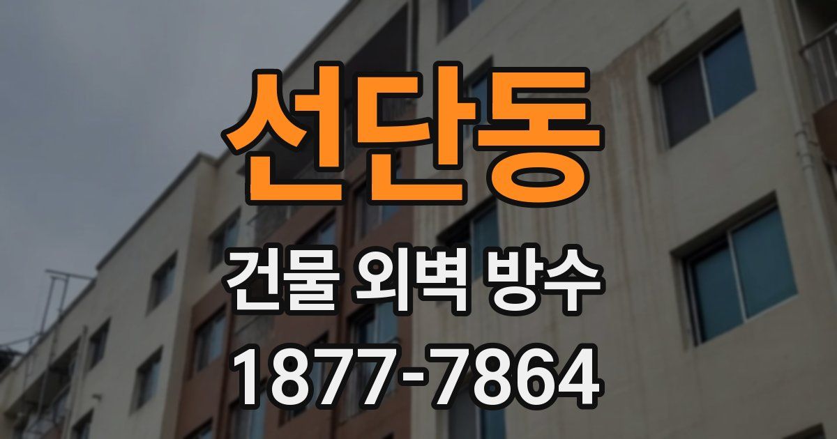 선단동 건물 외벽 방수