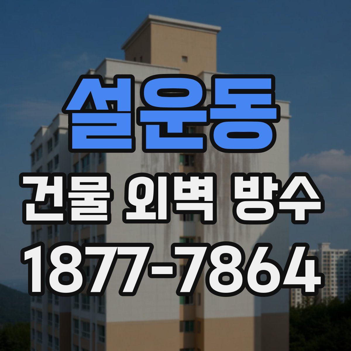 설운동 건물 외벽 방수