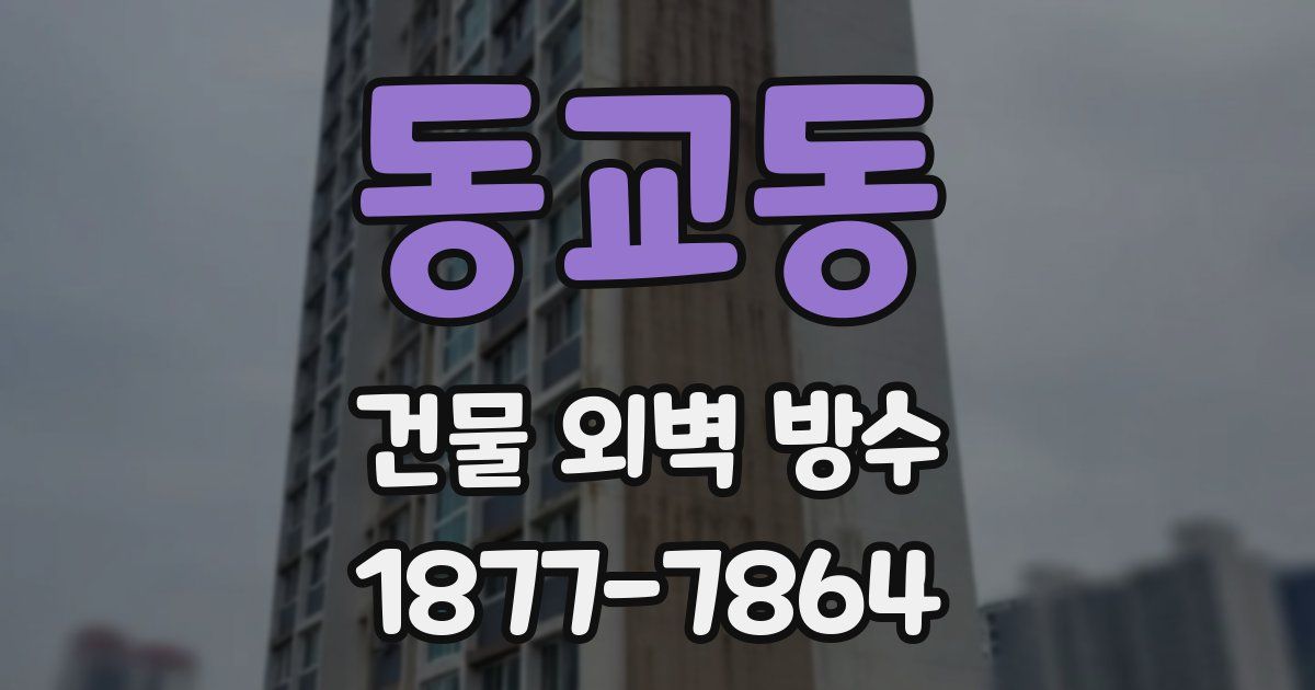 동교동 건물 외벽 방수