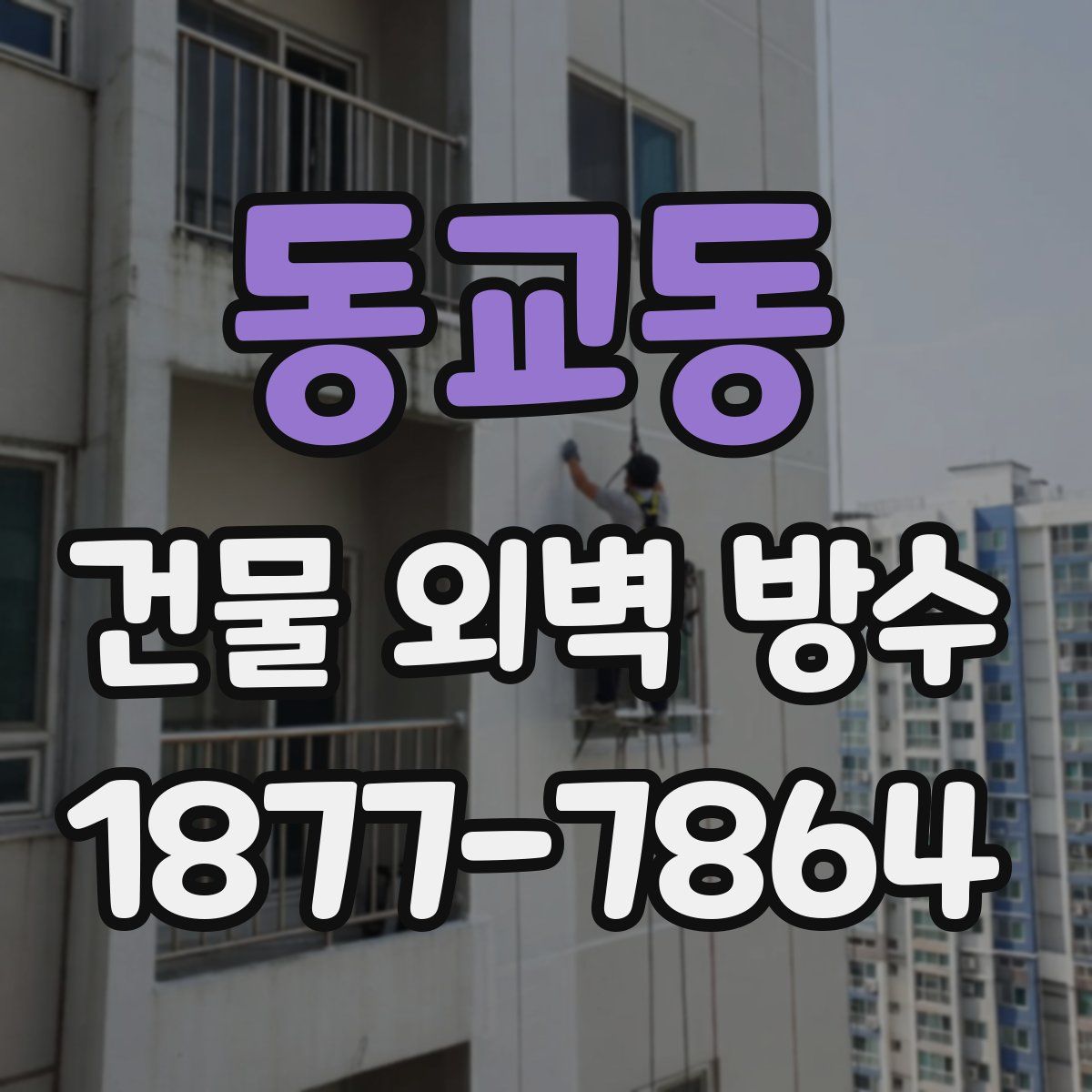 동교동 건물 외벽 방수