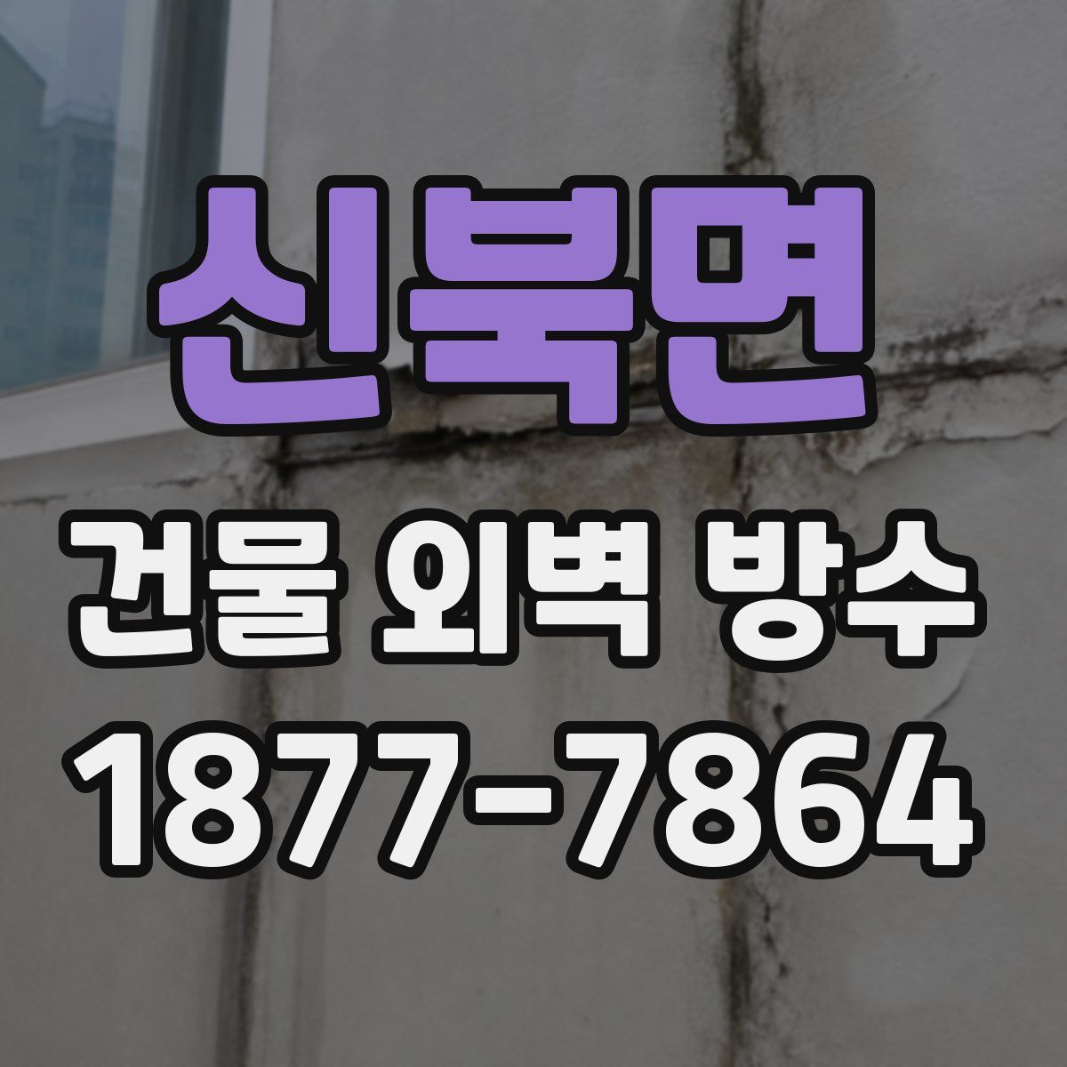 신북면 건물 외벽 방수