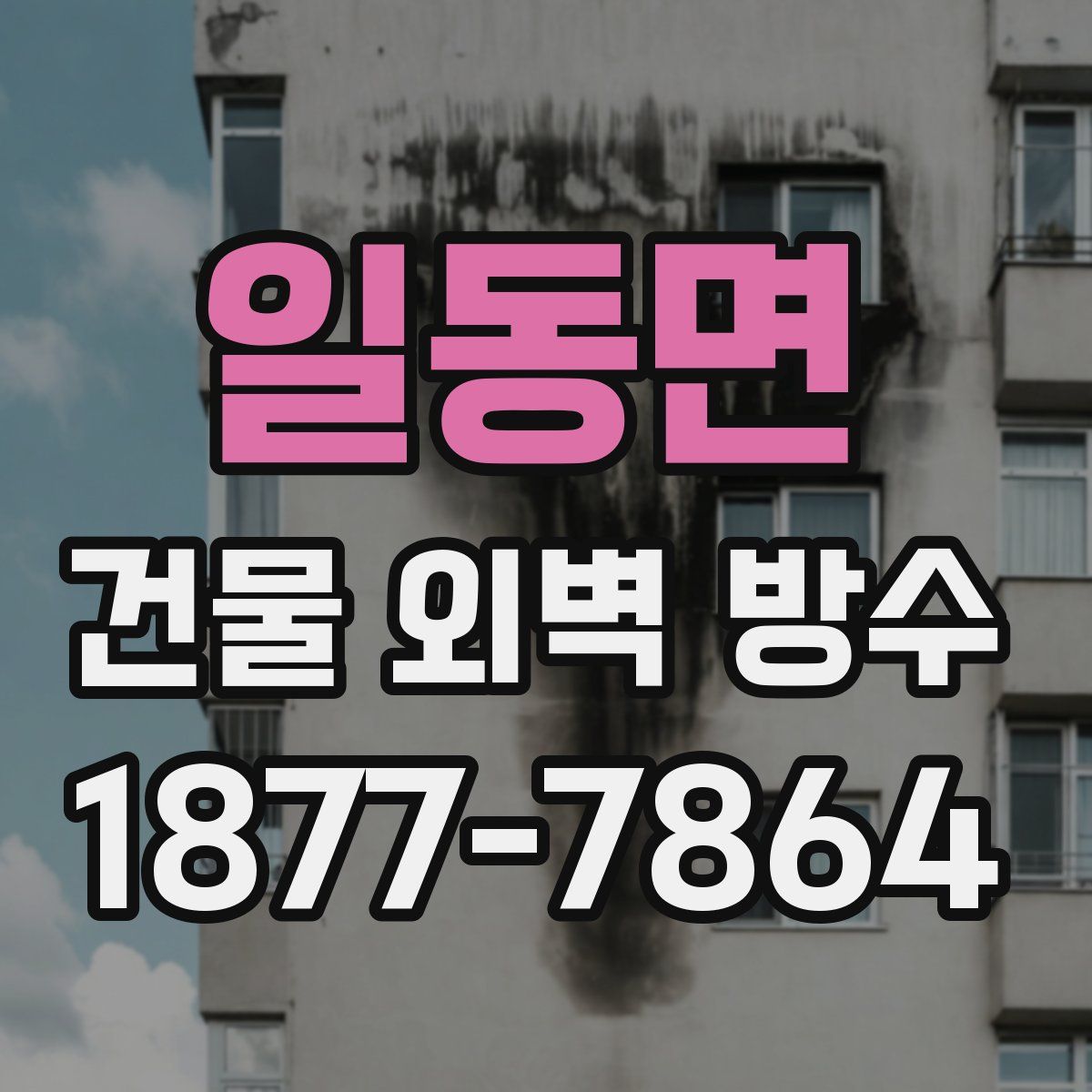 일동면 건물 외벽 방수