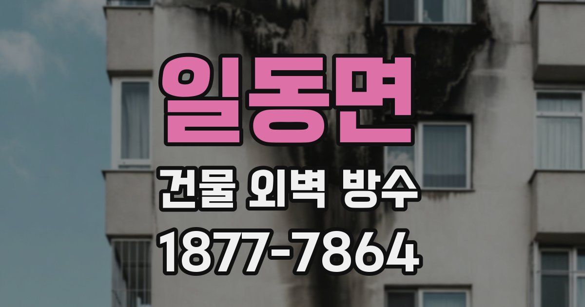 일동면 건물 외벽 방수