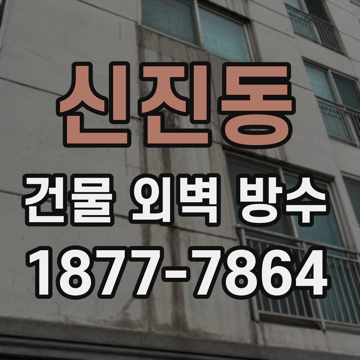 신진동 건물 외벽 방수