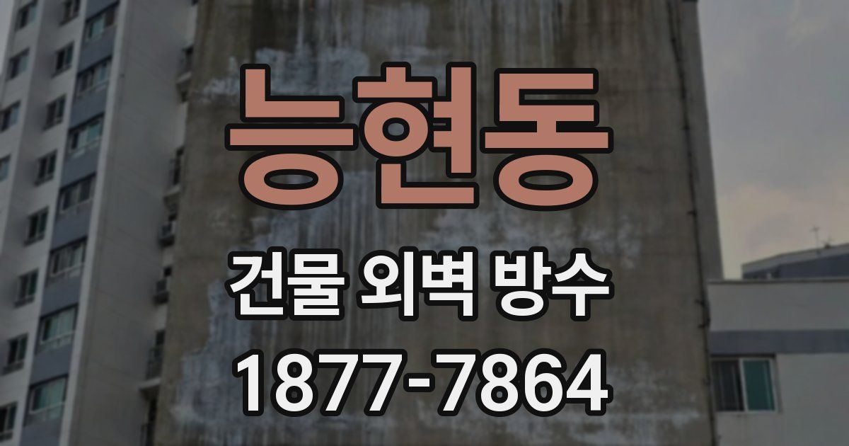 능현동 건물 외벽 방수