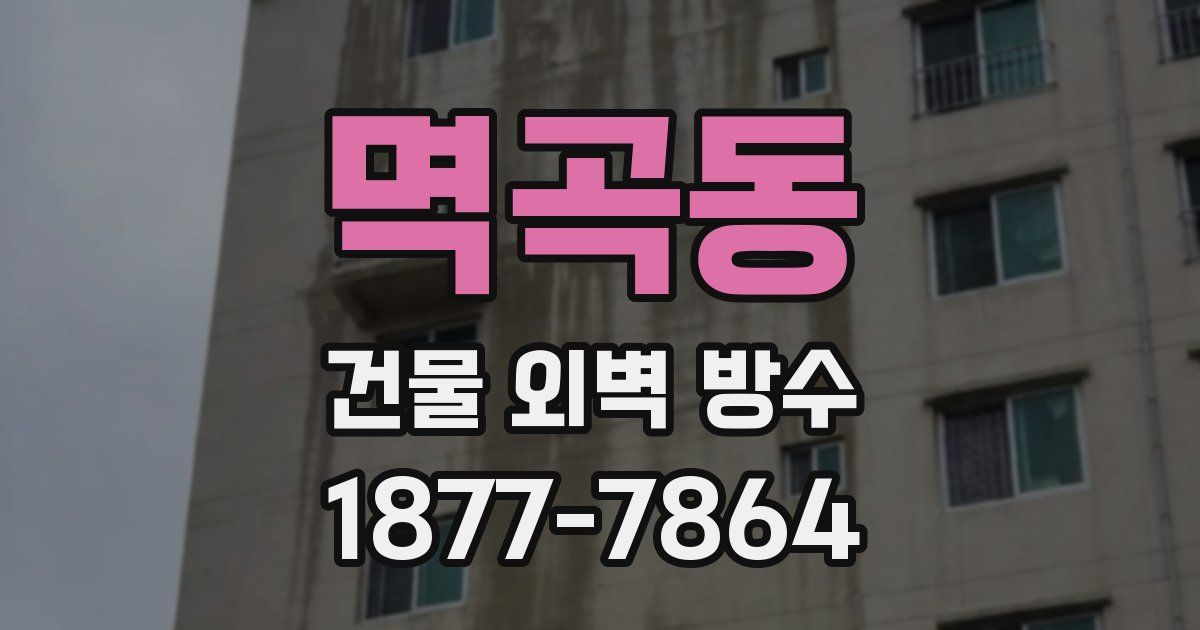 멱곡동 건물 외벽 방수